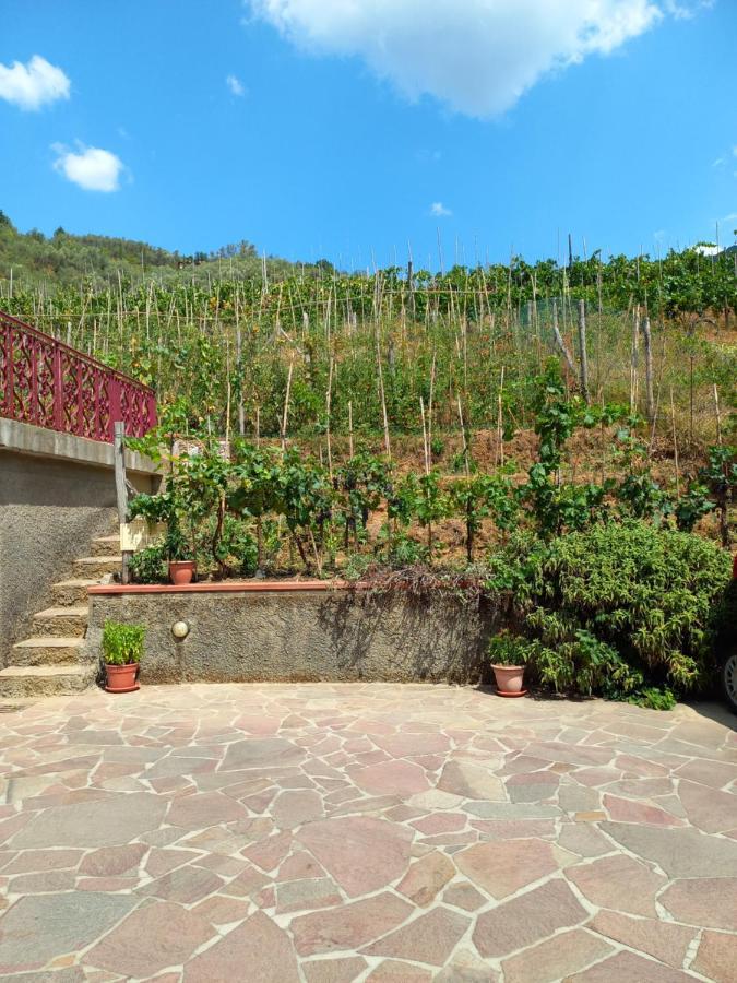 Villa Ester Камайоре Екстериор снимка