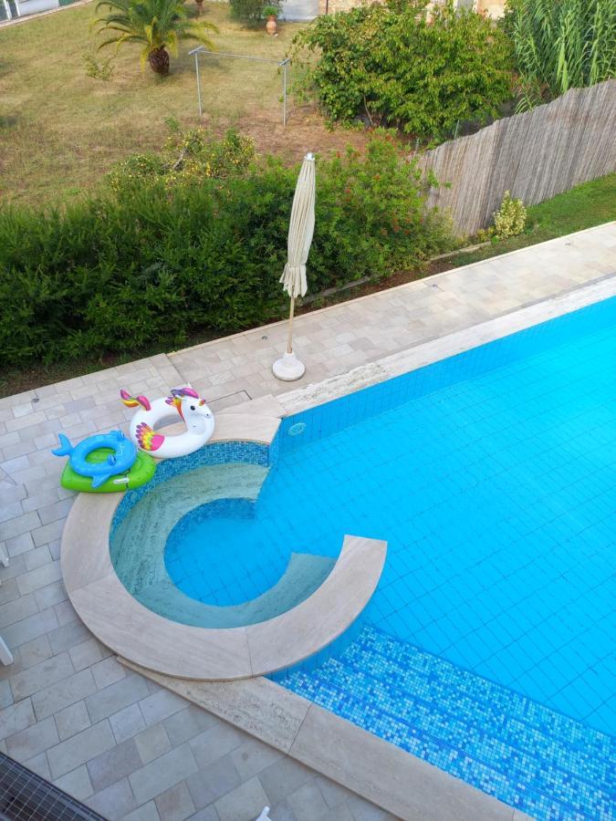 Villa Ester Камайоре Екстериор снимка